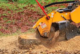 Best Soil Testing and Treatment  in Paducah, TX